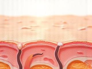 Healthy skin barrier illustration with layers